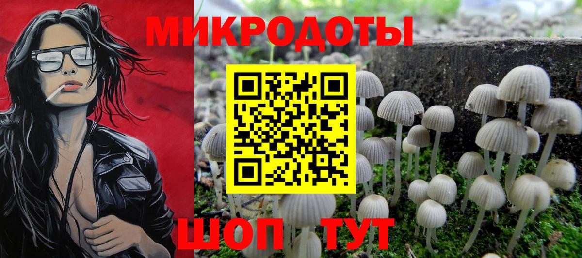 Псилоцибиновые грибы мухоморы Новодвинск