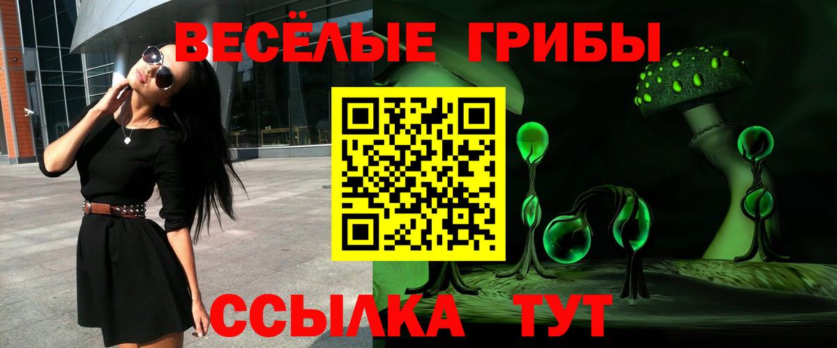 Псилоцибиновые грибы ЛСД  Вход с VPN  Новодвинск 